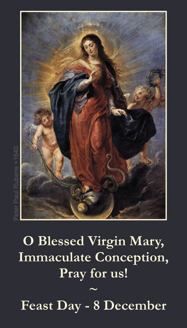 Immaculate Conception Prayer Card